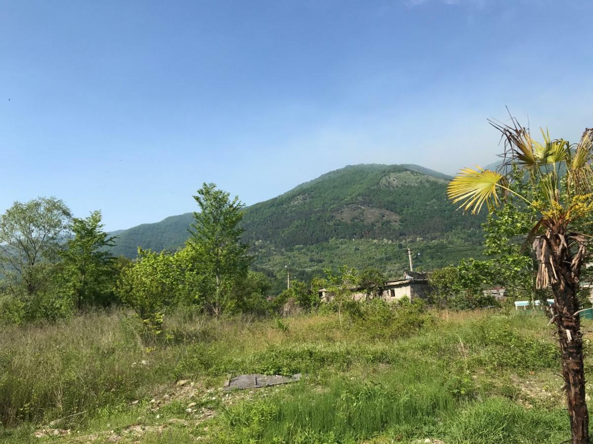 Ainar Hotel Gagra Bagian luar foto
