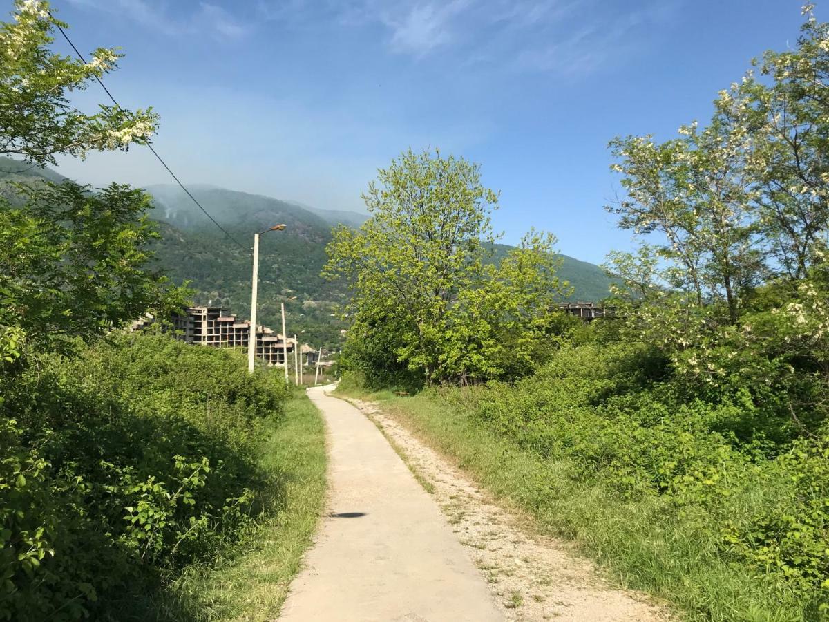 Ainar Hotel Gagra Bagian luar foto