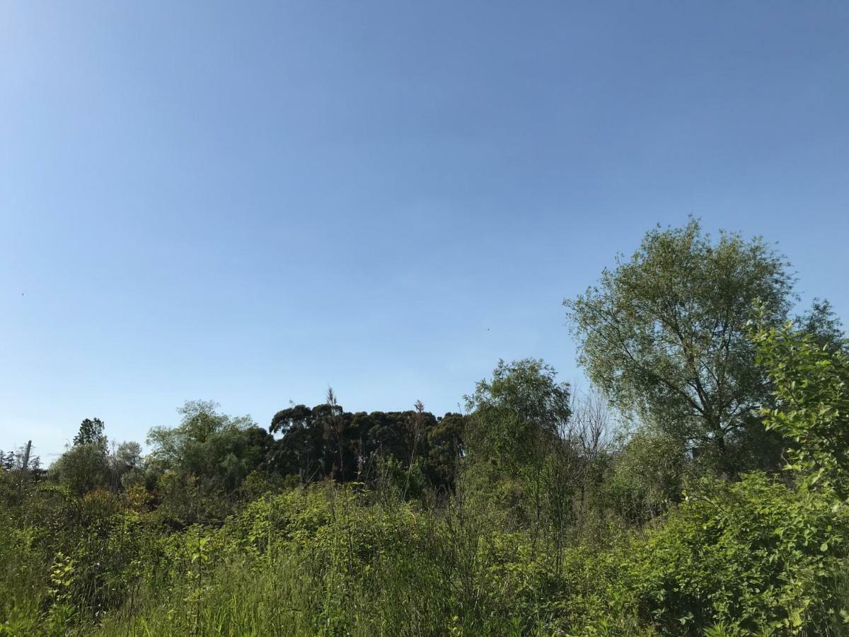 Ainar Hotel Gagra Bagian luar foto